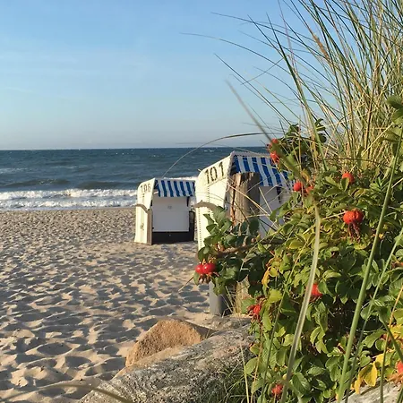 Himmel&meer - Nur 300m Vom Ostseestrand Mit Grosser Dachterrasse 아파트
