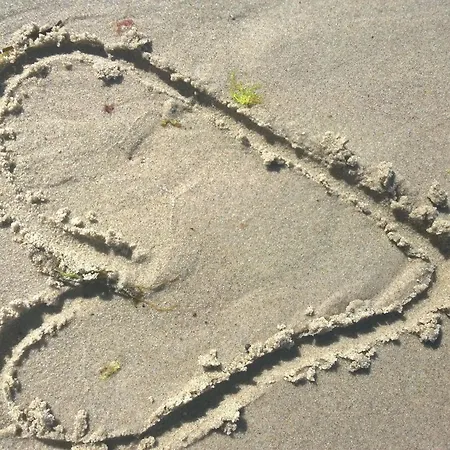 Himmel&meer - Nur 300m Vom Ostseestrand Mit Grosser Dachterrasse 아파트